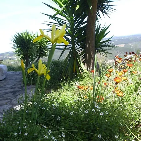 招待所 特洛维多尔旅馆 4*