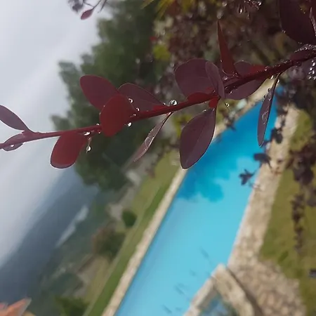 Pensión Casa Do Trovador