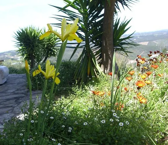 Гостевой дом Casa Do Trovador 4*