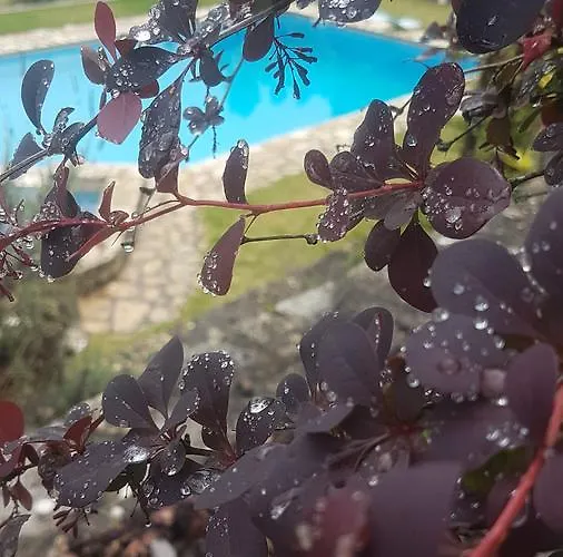 Casa Do Trovador Гостевой дом Серра