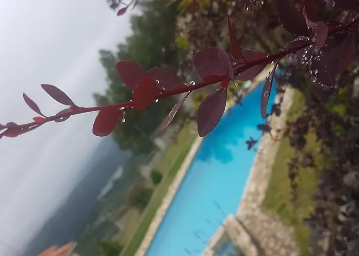 Гостевой дом Casa Do Trovador